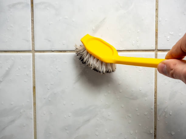 Best Mold Remediation Experts  in Bridgeport, MI