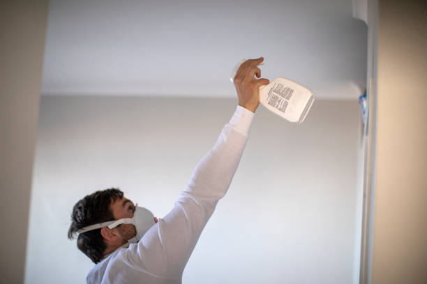 Mold Removal and Inspection in Bridgeport, MI