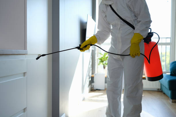 Best Professional Mold Removal  in Bridgeport, MI