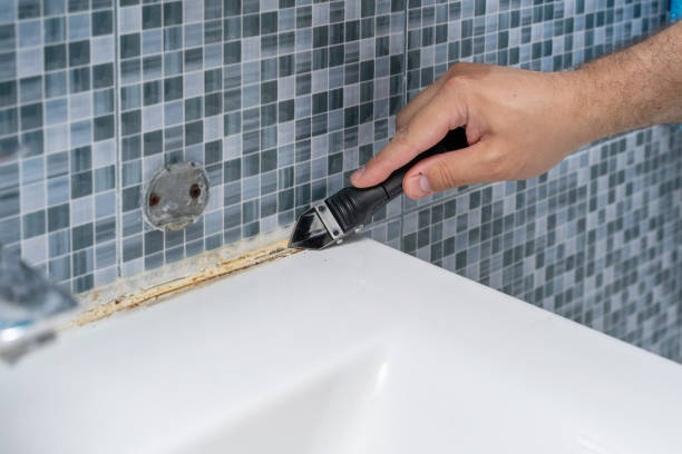 Best Affordable Mold Removal  in Bridgeport, MI